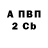 APVP VHQ Arina Dubina