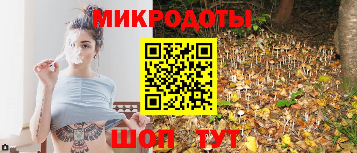 Псилоцибиновые грибы Psilocybine cubensis  Псилоцибиновые грибы Cubensis  наркотики  Вход с VPN  Новокубанск 